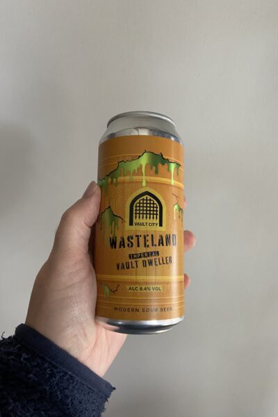 Wasteland Imperial Vault Dweller Sour by Vault City Brewing.