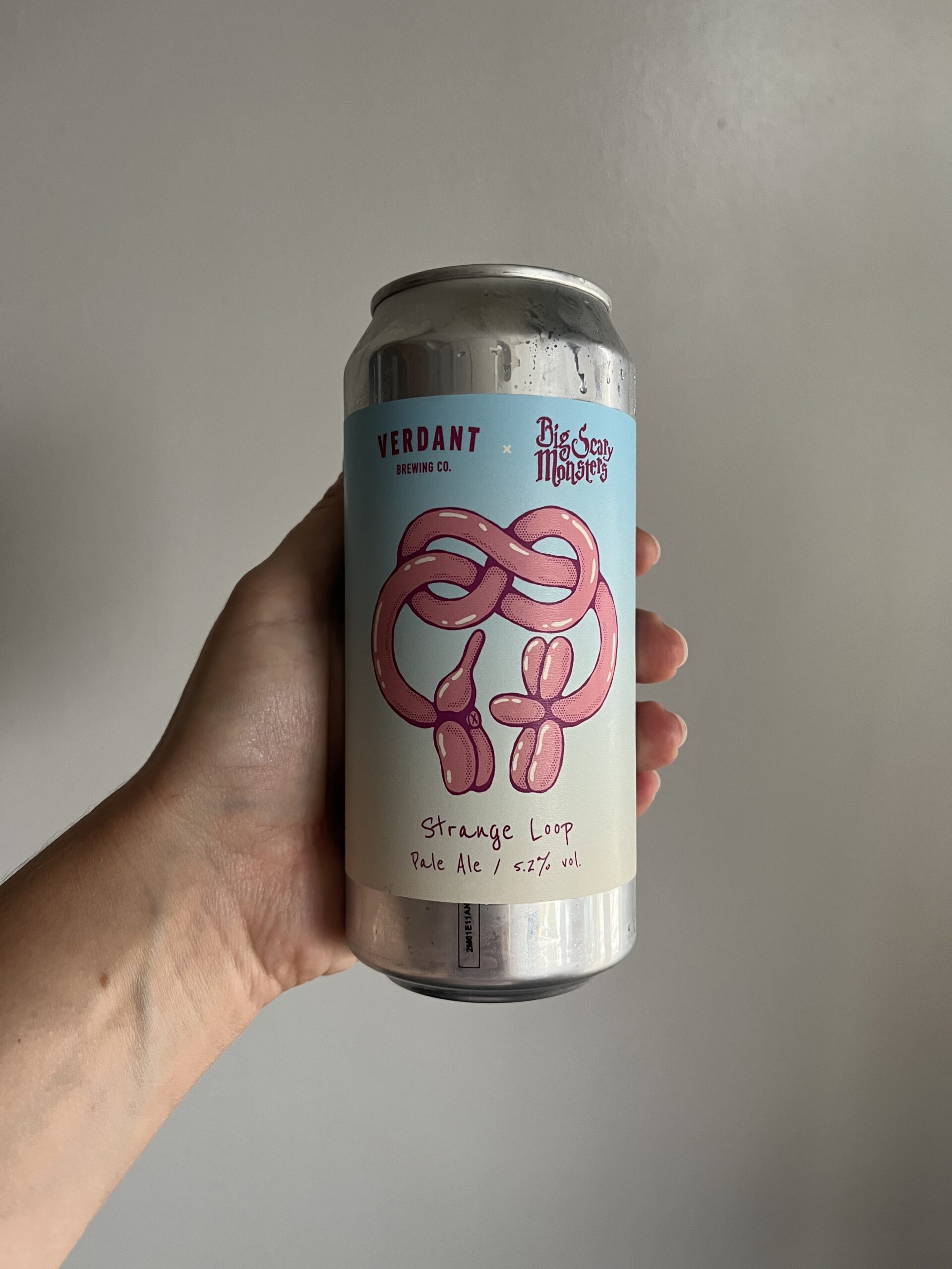 Strange Loop Pale Ale by Verdant Brewing Company.